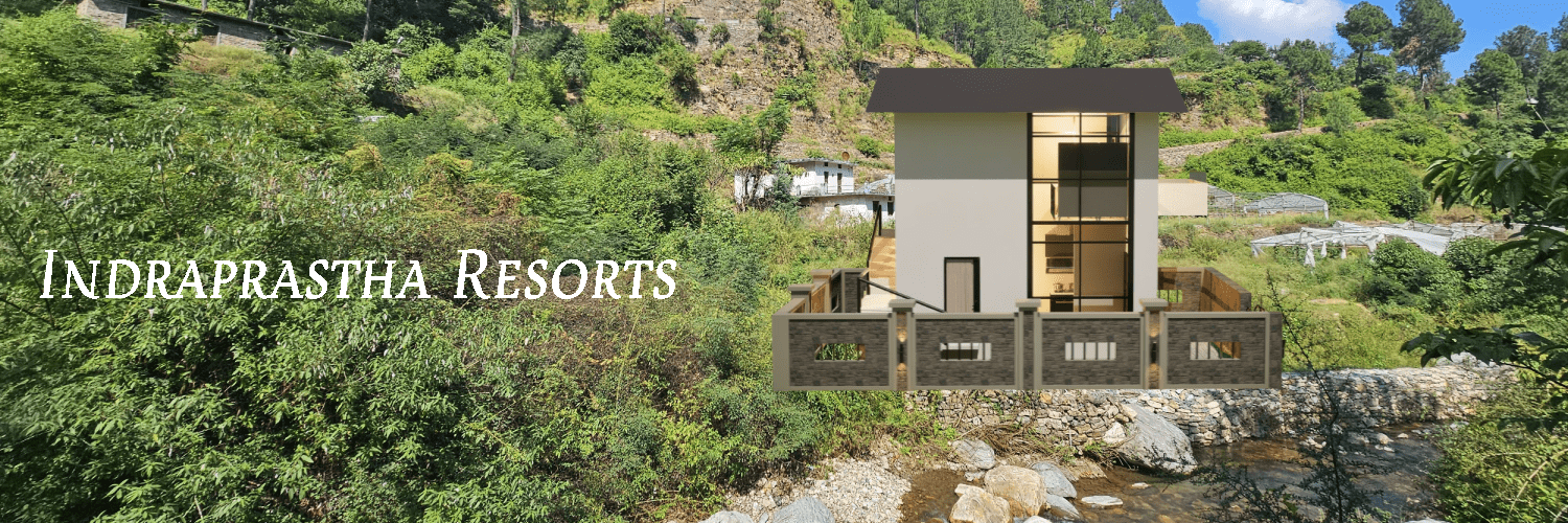 Professional Web Banner Design (3)